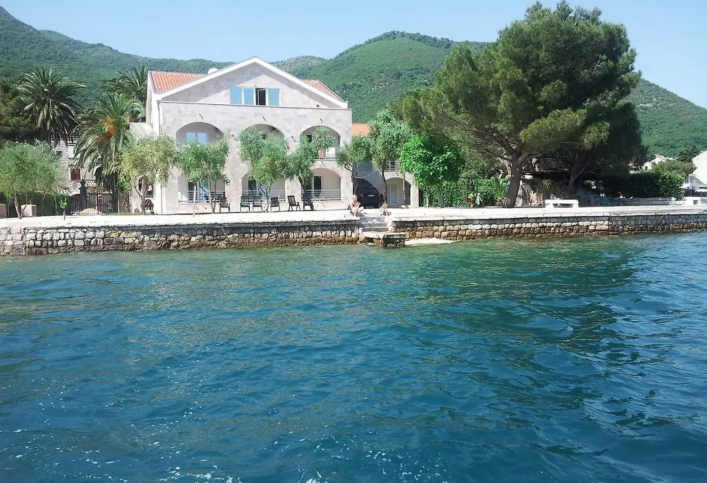 Apartment Danilovic